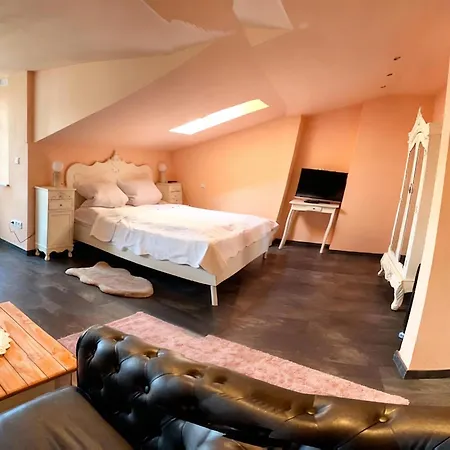 Gasthuis Weingut Mathis 1 Burgblick Klingenmünster