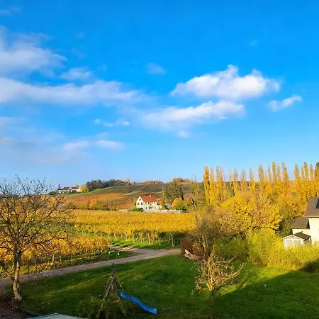 Gasthuis Weingut Mathis 1 Burgblick 3*