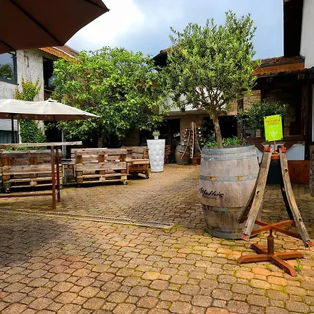 Guest house Weingut Mathis 1 Burgblick