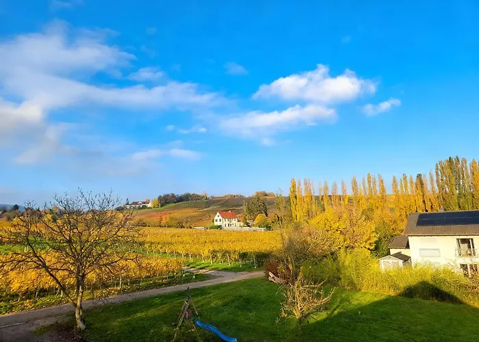 Guest house Weingut Mathis 1 Burgblick 3*